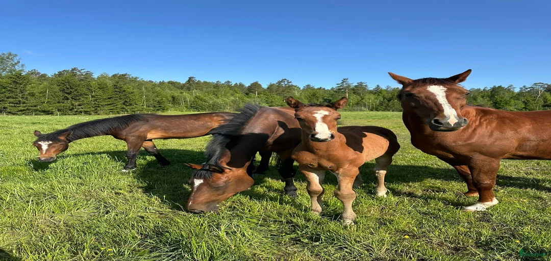 Galleribild {{count}}