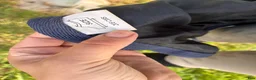 Täcken hästutrustning till salu: Flugtäcke 145 i Linköping - Annons 2
