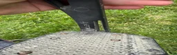 Stigbyglar hästutrustning till salu: Freejump Soft’up PRO + - Annons 8