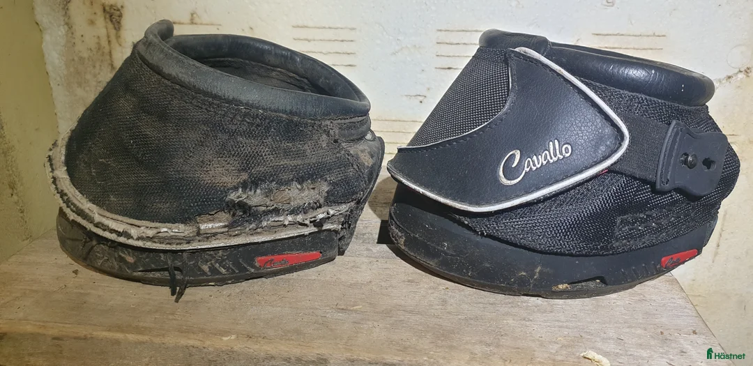 Övrig Hästutrustning hästutrustning till salu: Cavallo hovboots  i Skeppshult - Annons 2