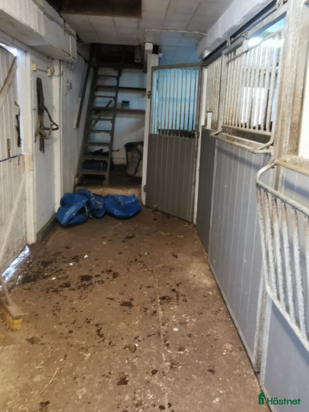  stallplats finnes: Stallplats i centrala Tungelsta  i Tungelsta - Annons 2