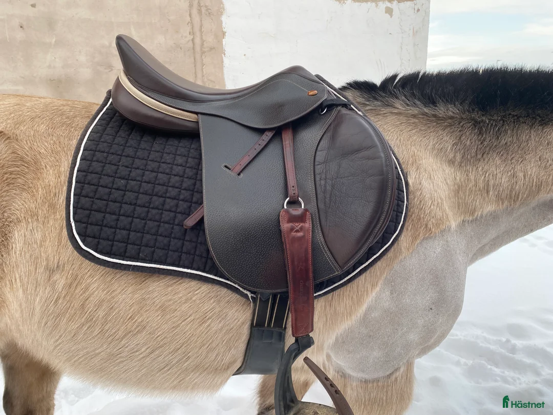 Sadeltillbehör hästutrustning till salu: Hoppschabrak, hoppgjord och ländtäcke  i Bottnaryd - Annons 7