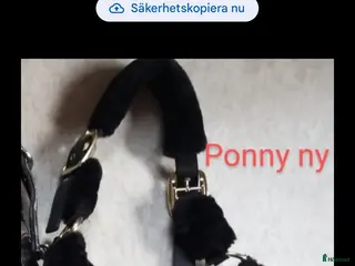 Övrig Hästutrustning hästutrustning Nya grimmor i Ullared - Annons 6