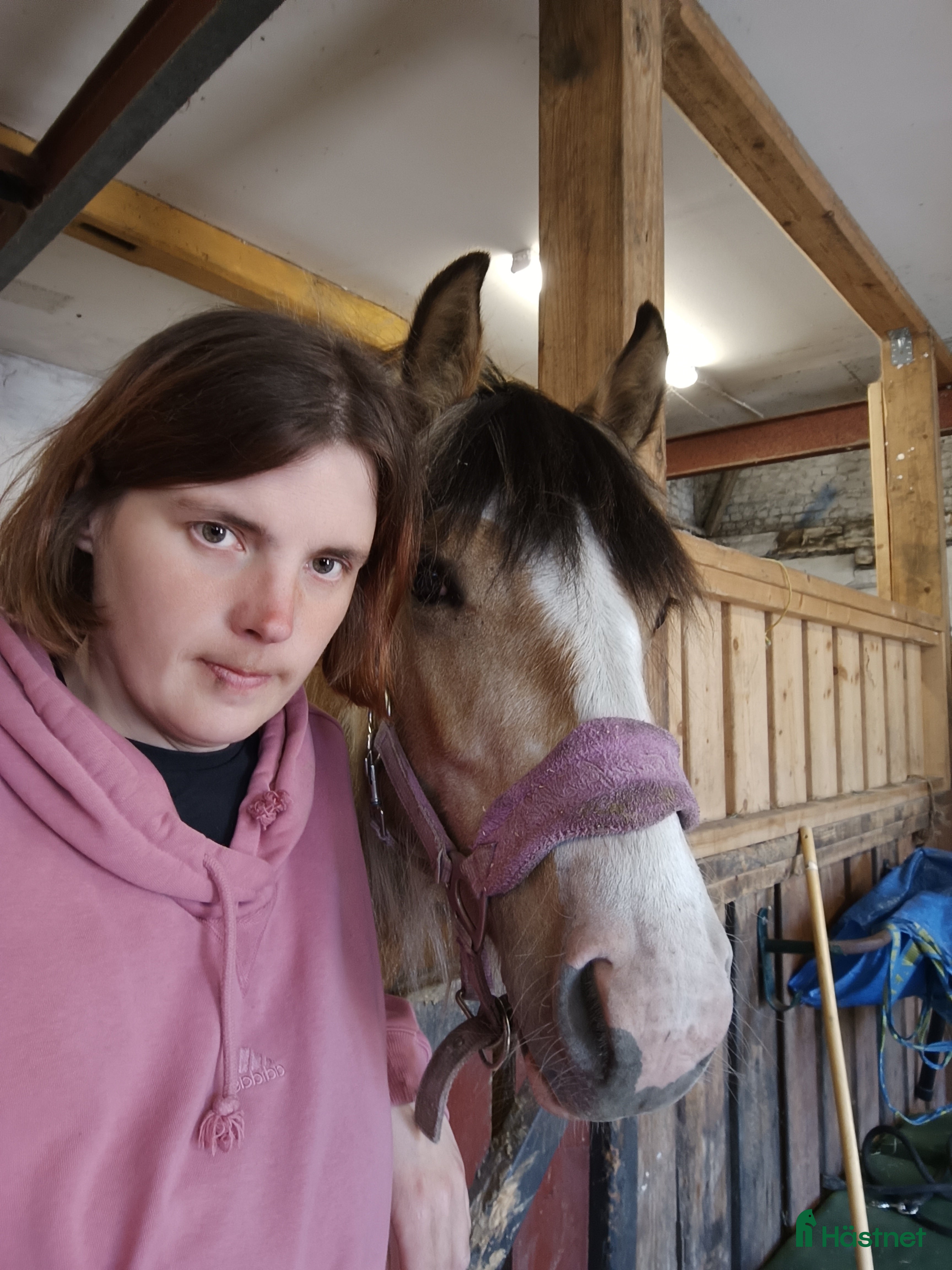  hästjobb finnes: Stalljobb sökes. - Annons 4