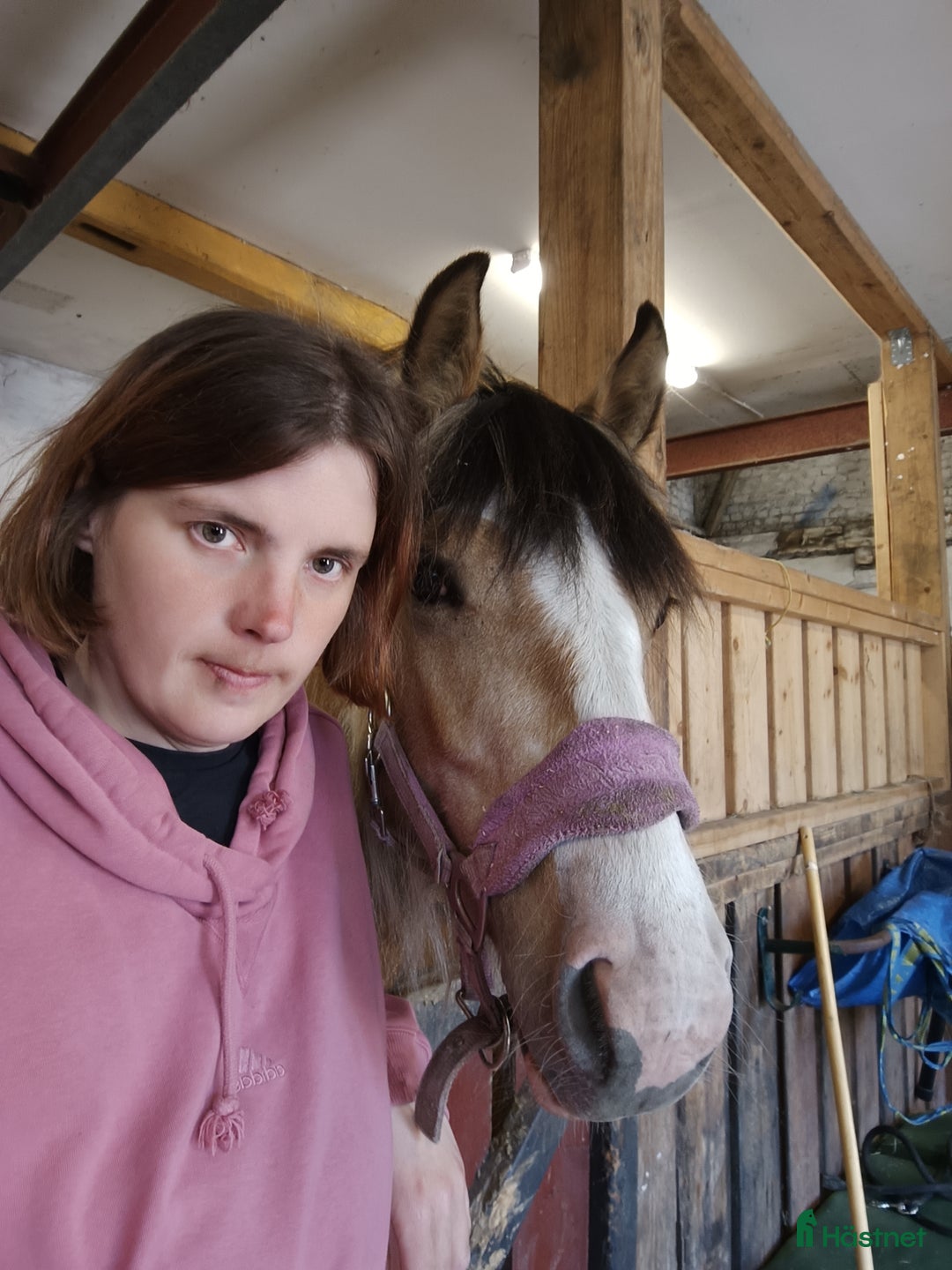  hästjobb finnes: Stalljobb sökes. - Annons 1