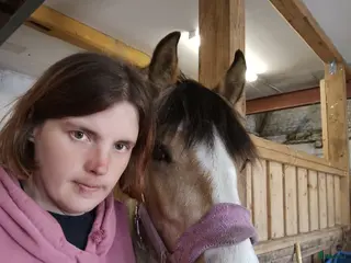 hästjobb Stalljobb sökes. - Annons 4