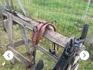 Körselar körning till salu: Loksele - Annons 4