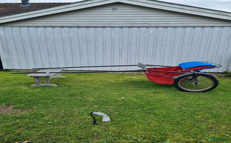 Körsulkys körning till salu i Tierp - Annons 20