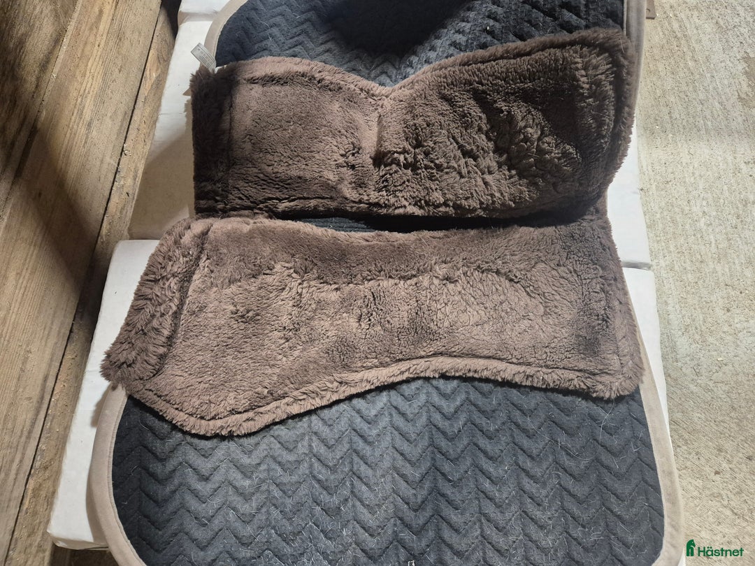 Schabrak & Vojlockar hästutrustning till salu: Kentucky  i Gustafs - Annons 2