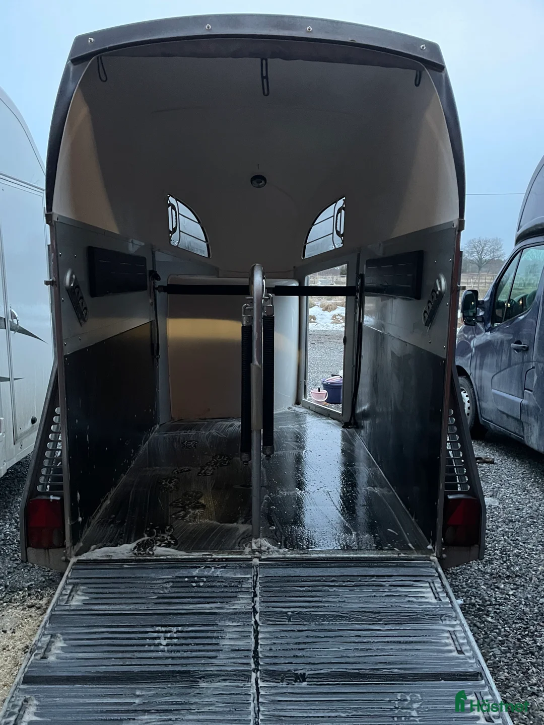 Hästtransporter  fordon & transport till salu: Böckmann - Champion R  - Annons 9