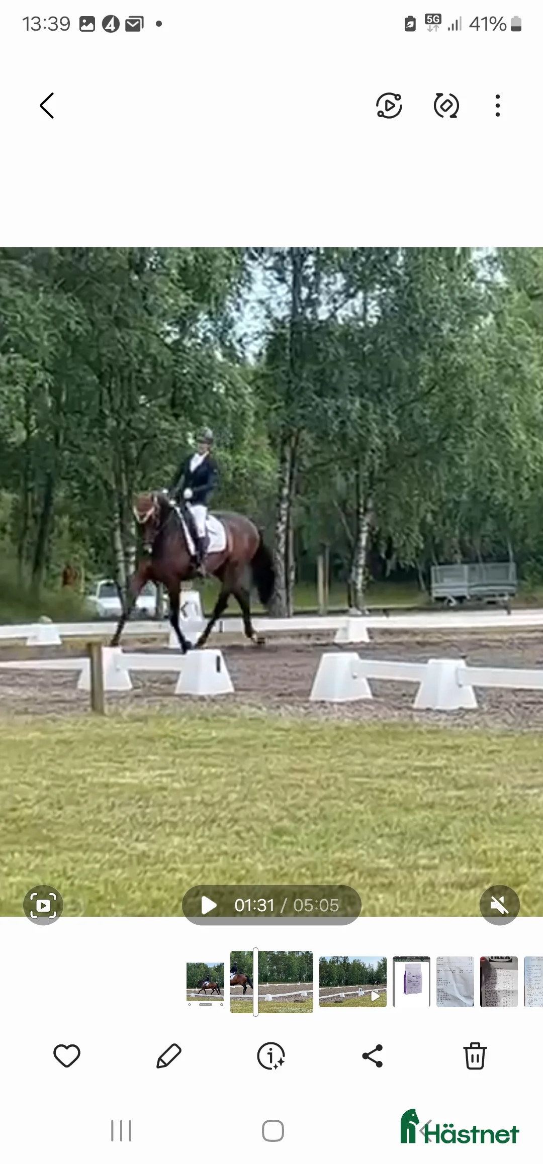  hästservice finnes: Hästservice finnes. i Varberg - Annons 2