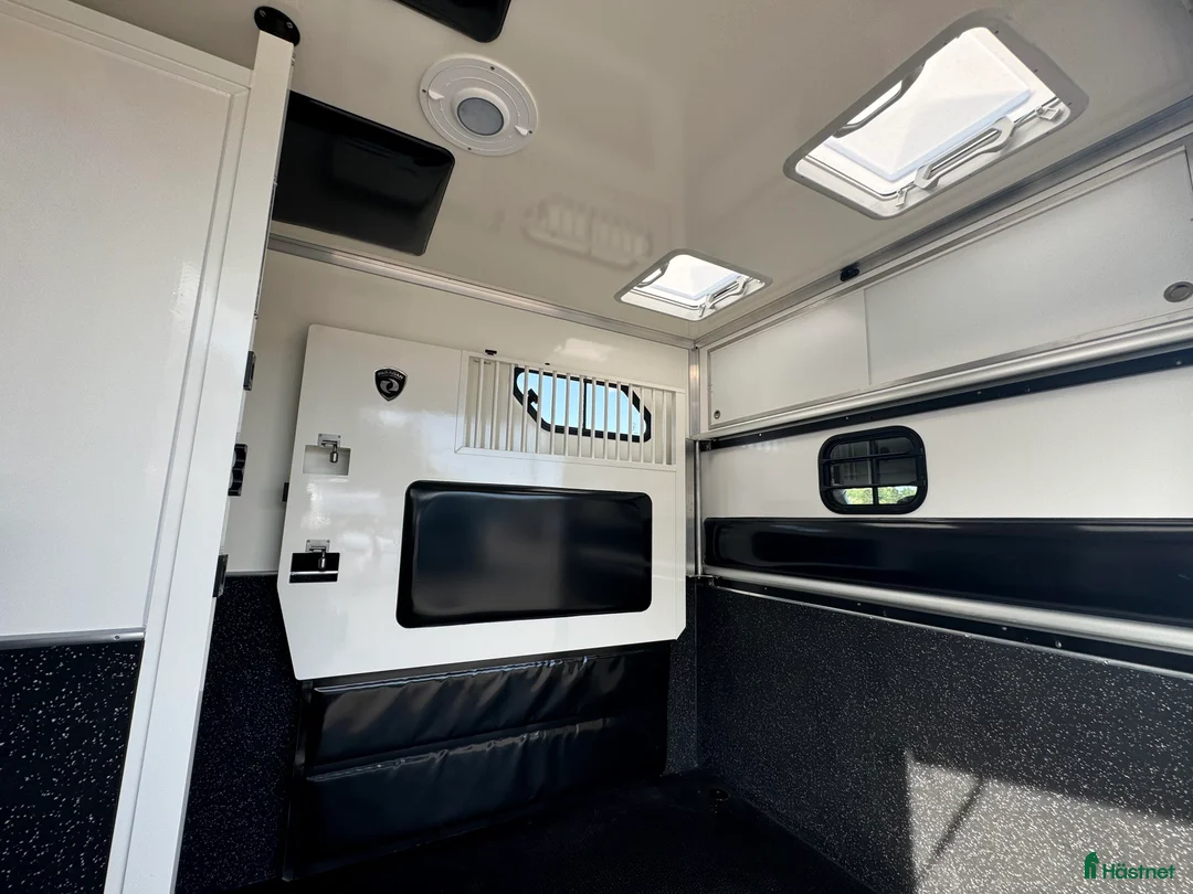 Hästlastbilar  fordon & transport till salu: PARAGAN EQUISTAR 3XL  i Köping - Annons 7