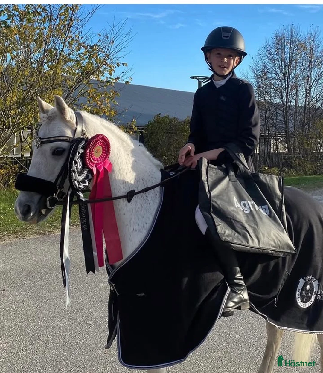 Hoppning hästar till salu: ⭐️Världens bästa ponny⭐️ i Källby - Annons 4