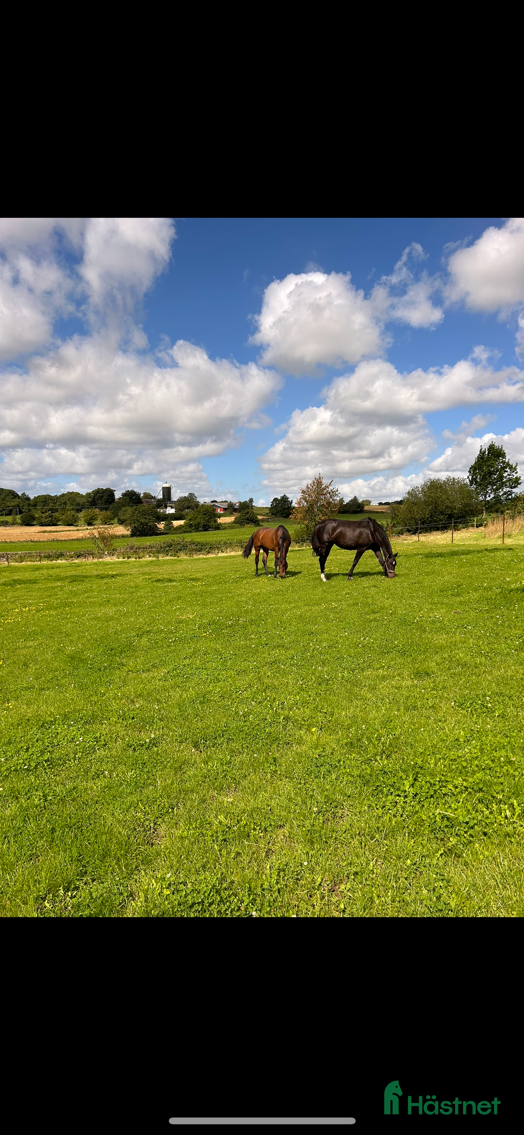  stallplats finnes: Stallplatser  i Varberg - Annons 2