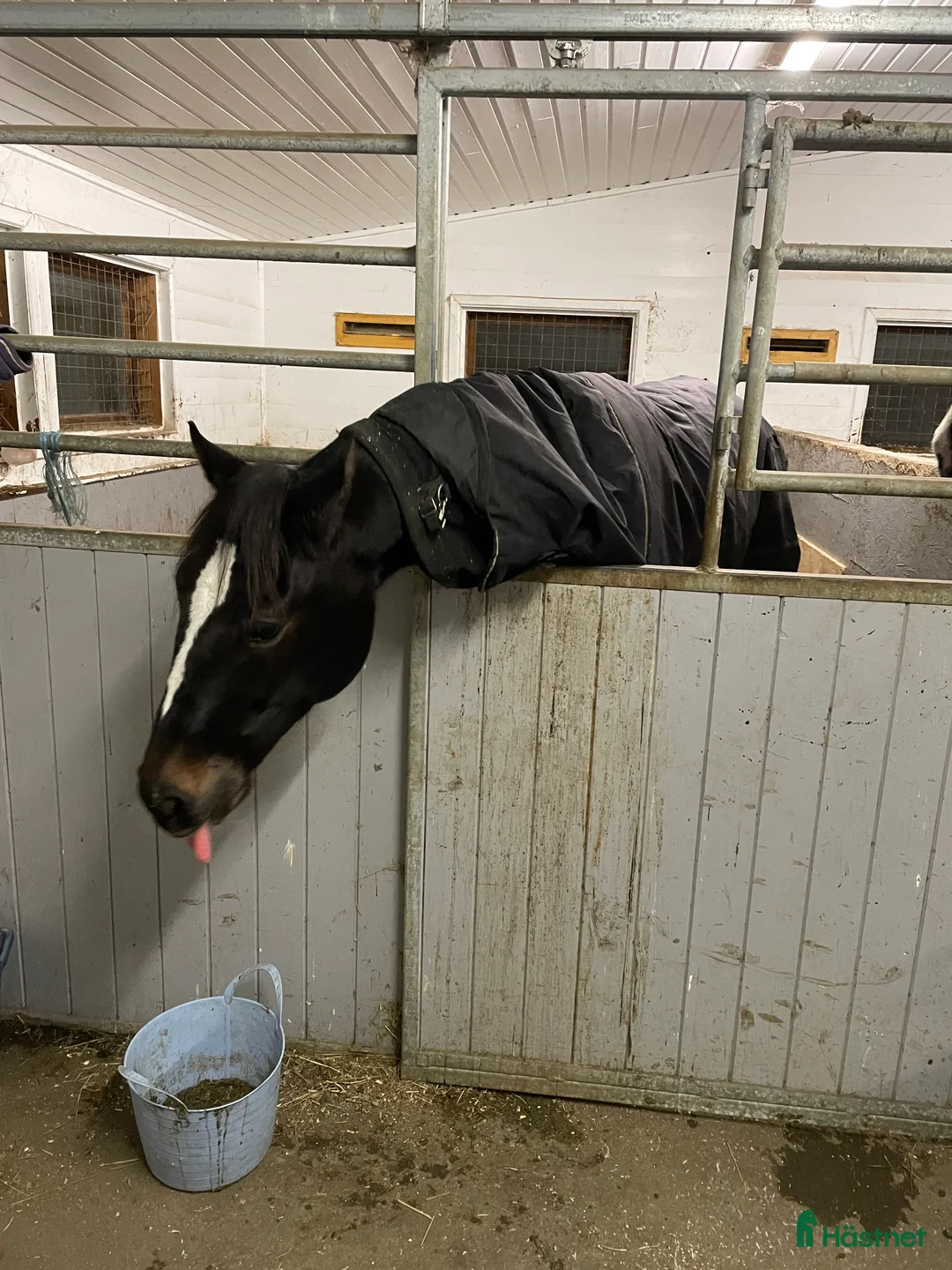 Galleribild {{count}}