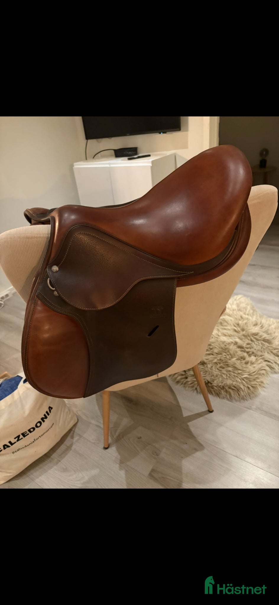 Sadlar hästutrustning Super fin 17” antares altair  - Annons 1
