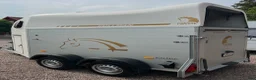 Hästtransporter  fordon & transport till salu: Cheval Liberté Pullman 1,5 hästars 2021  - Annons 1