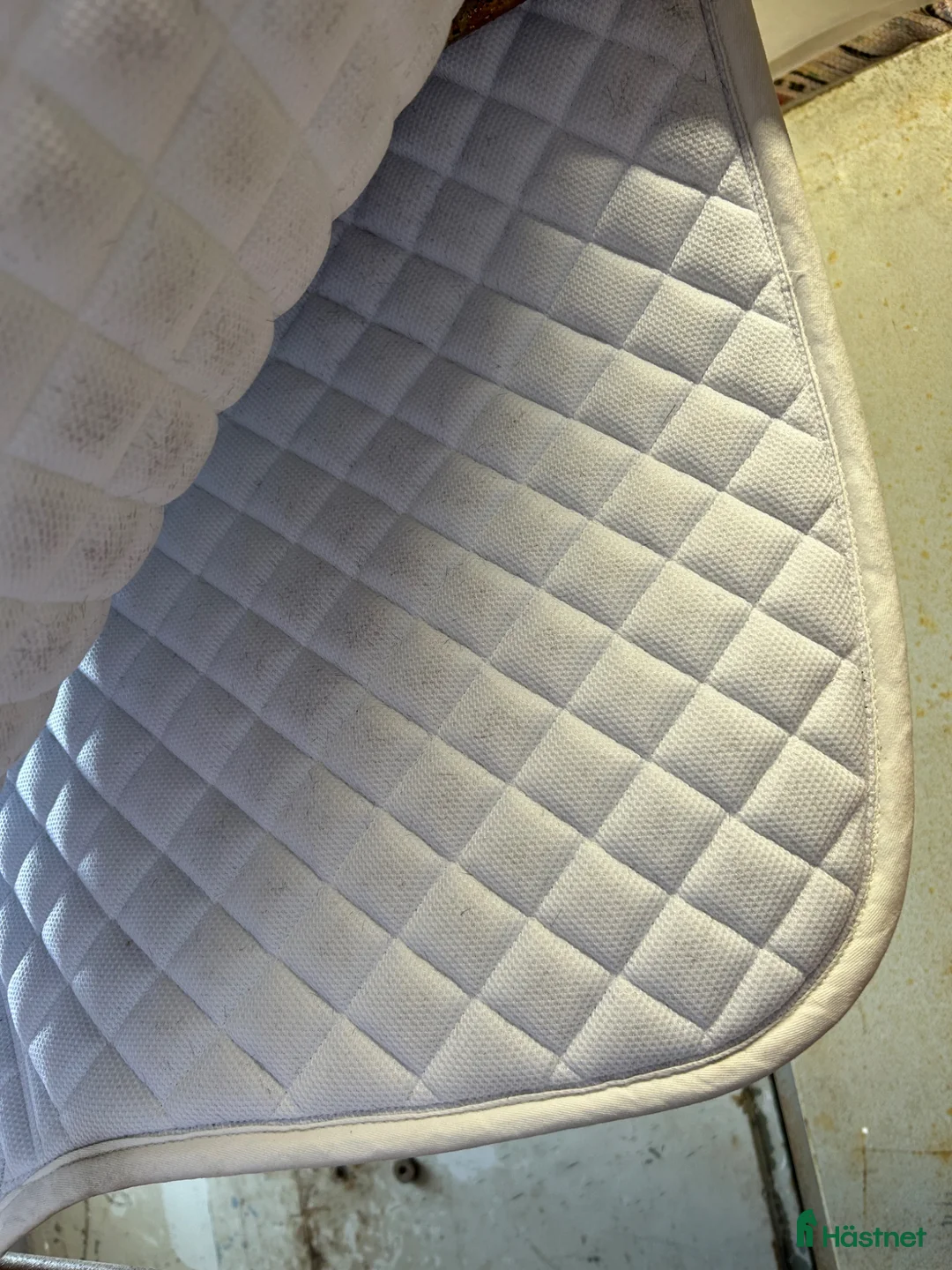 Schabrak & Vojlockar hästutrustning till salu: Trinity tävlings schabrak och huva - Annons 3