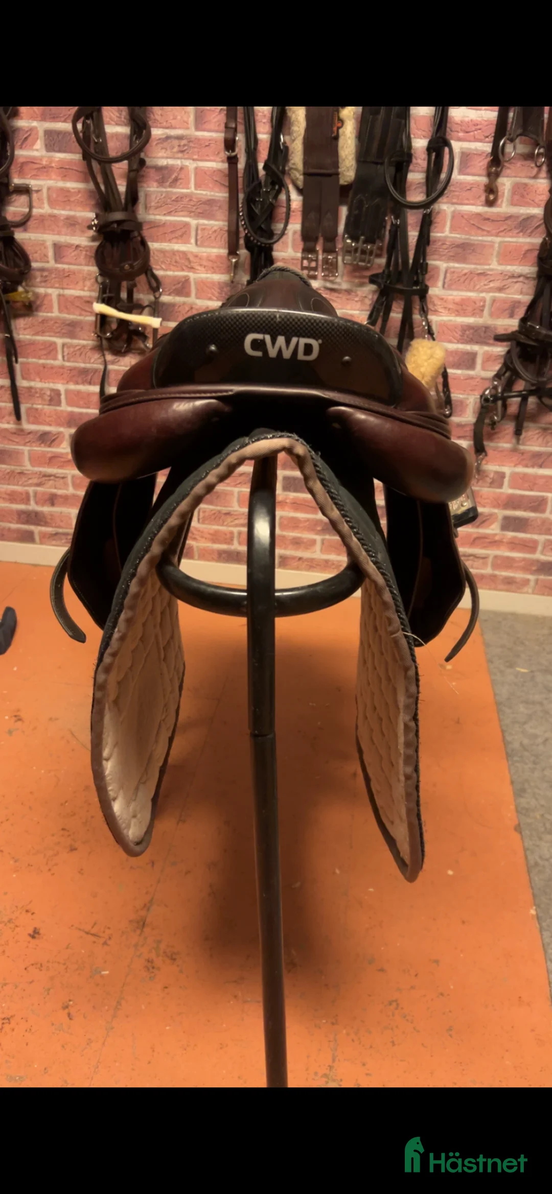 Sadlar hästutrustning till salu: CWD 2GS sadel - Annons 2