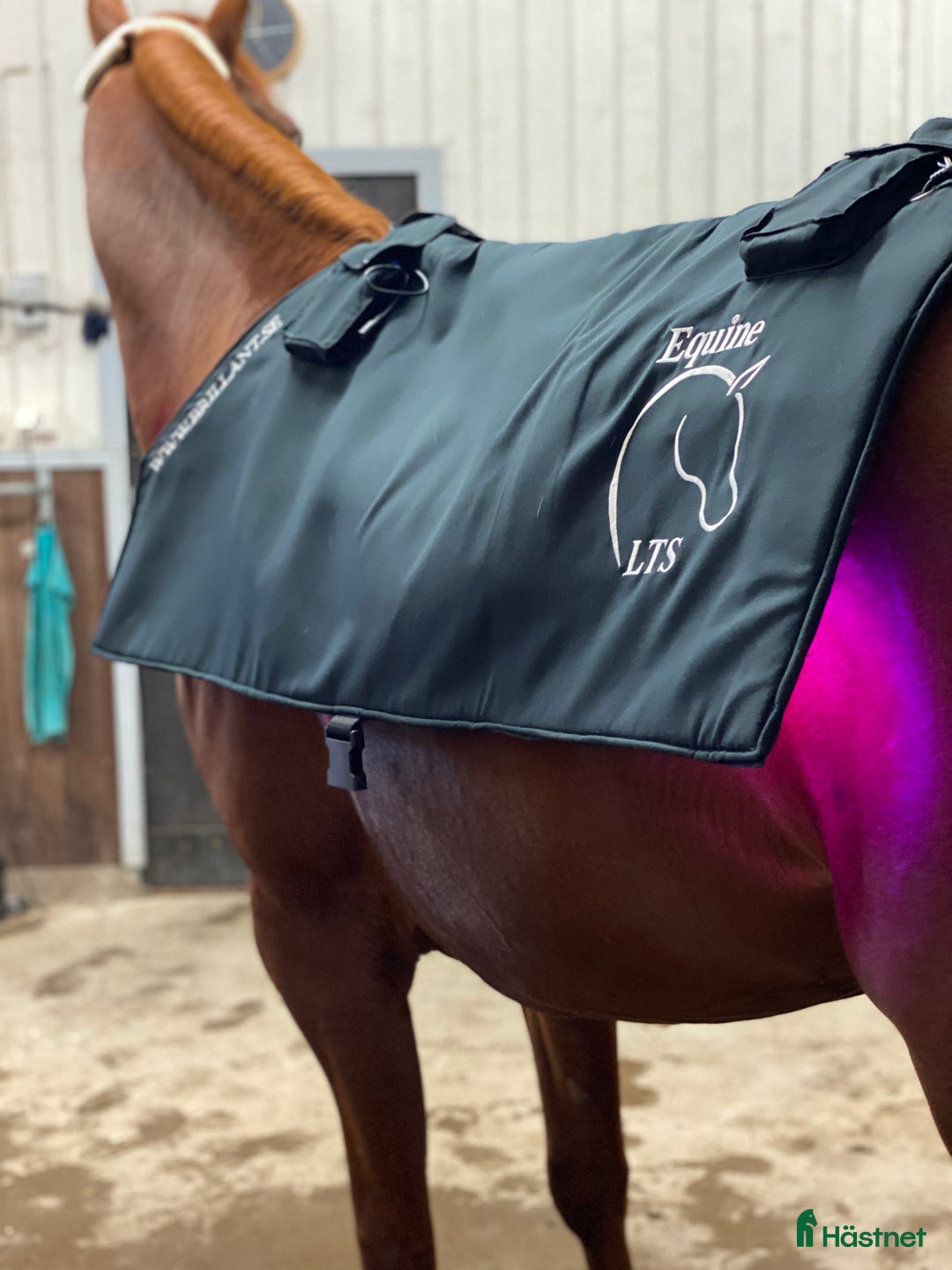 Övrig Hästutrustning hästutrustning till salu: Sparsamt använd Equine LTS Topline i Uddevalla - Annons 1