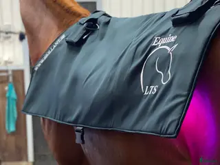 Övrig Hästutrustning hästutrustning Sparsamt använd Equine LTS Topline i Uddevalla - Annons 2