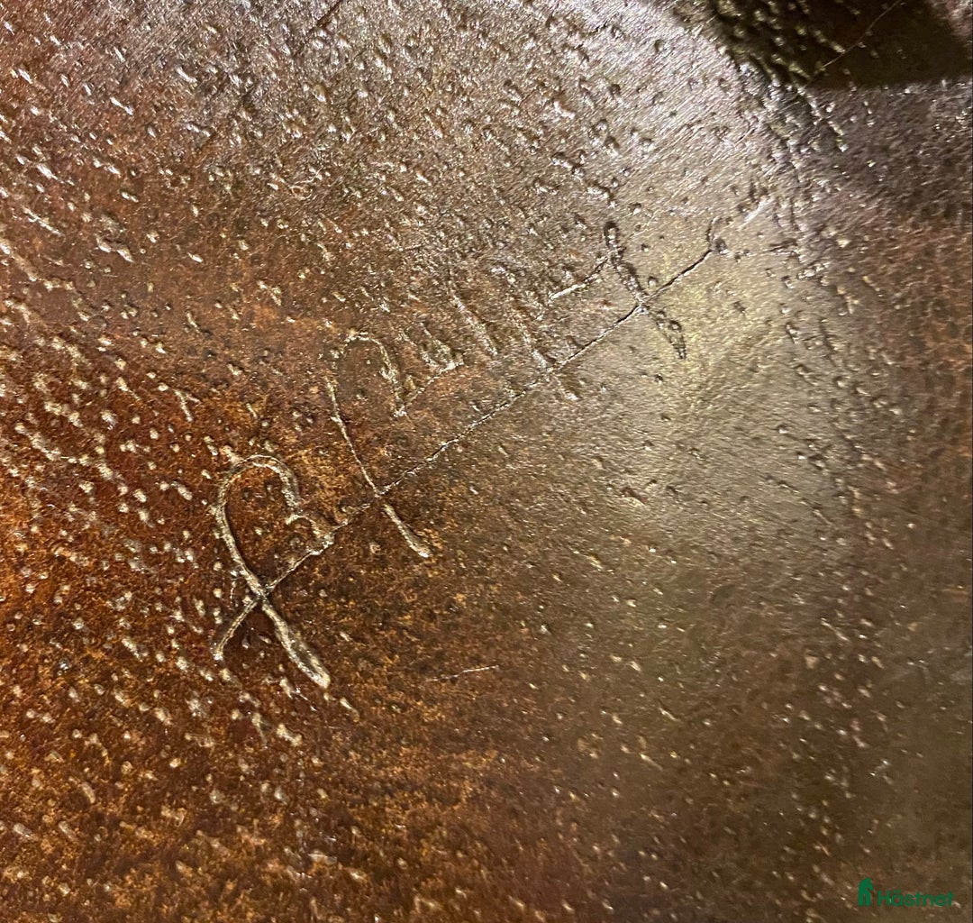 Sadlar hästutrustning till salu: Bruno Delgrange Partition i Mosby - Annons 14