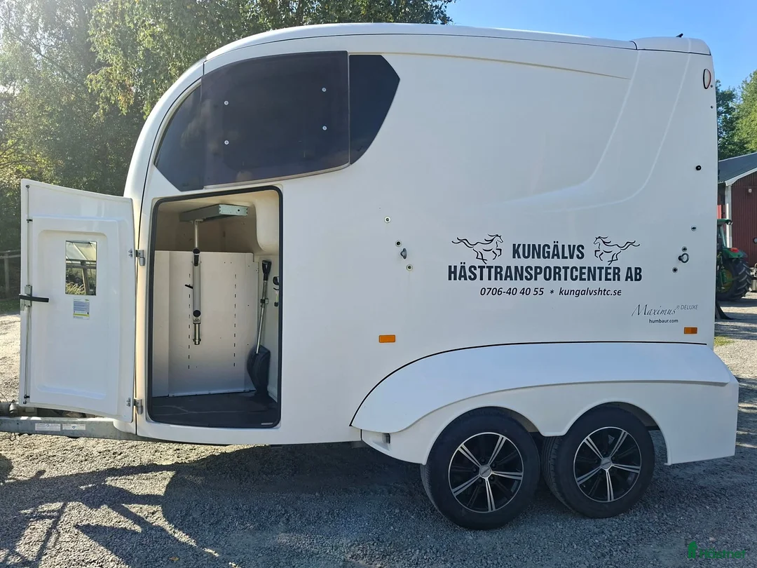 Hästtransporter  fordon & transport till salu: Humbaur Maximus - Annons 2