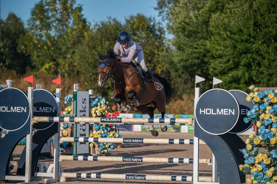 Hoppning hästar till salu: Sto med power - Annons 1