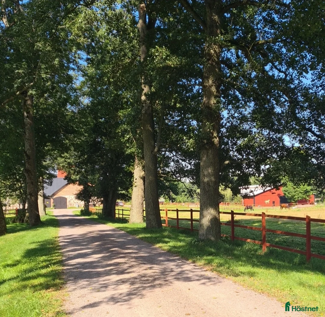  stallplats finnes: Stallplats Össjögård  i Munka-ljungby - Annons 2