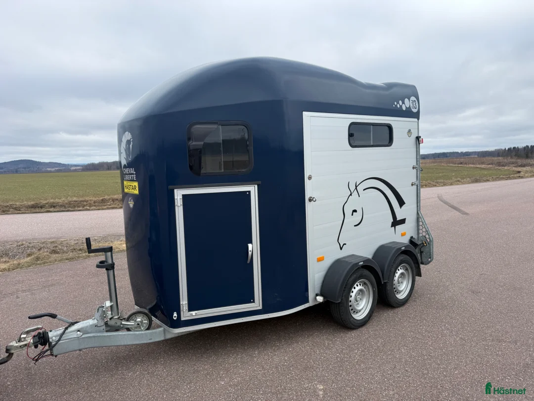 Hästtransporter  fordon & transport till salu: Chaval Gold3 -24 - B-kort! - Annons 1