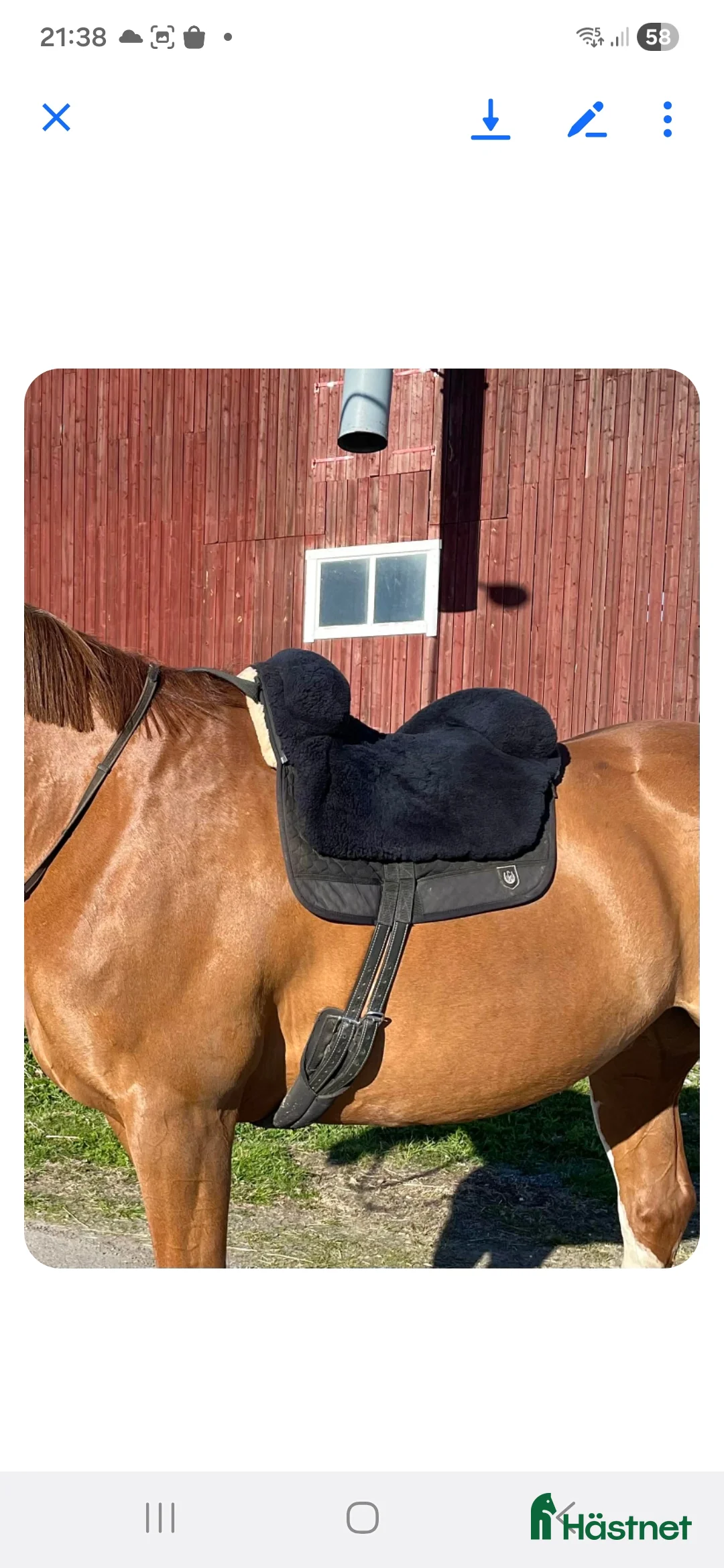 Sadlar hästutrustning till salu: Horsedream iberica plus - Annons 1