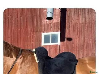 Sadlar hästutrustning Horsedream iberica plus - Annons 1