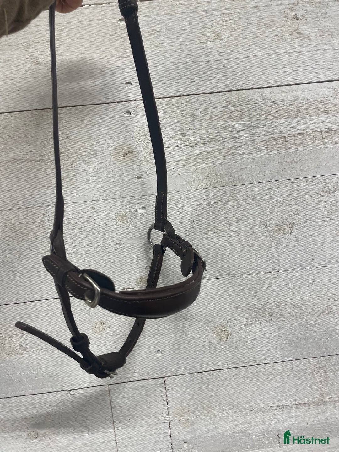 Träns hästutrustning till salu: Remontnosgrimma i Lekeryd - Annons 1