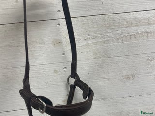 Träns hästutrustning till salu: Remontnosgrimma i Lekeryd - Annons 20