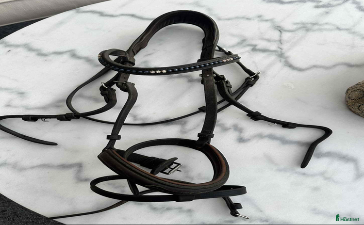 Träns hästutrustning till salu i Söderköping - Annons 16