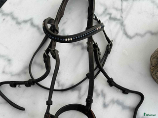 Träns hästutrustning till salu i Söderköping - Annons 28