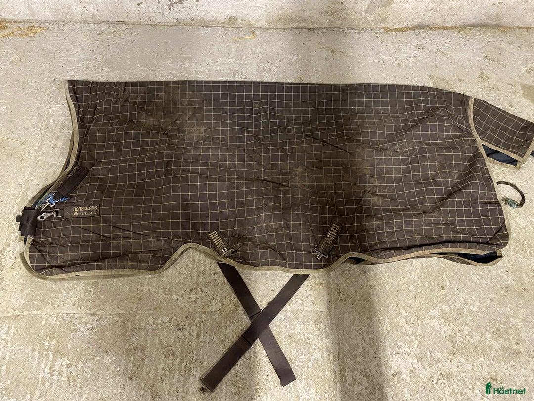 Övrig Hästutrustning hästutrustning till salu: Massa utrustning! i Lund - Annons 21