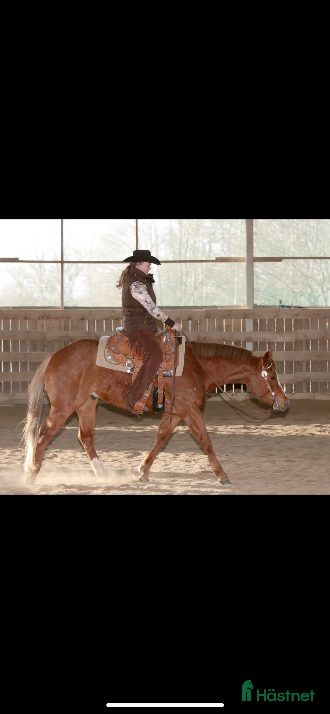 Galleribild {{count}}