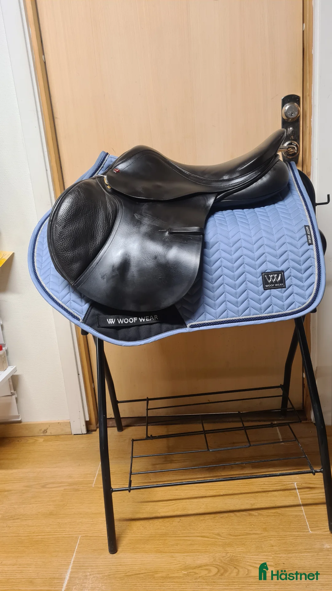 Sadlar hästutrustning till salu: Albion Kontrol i Hamneda - Annons 1