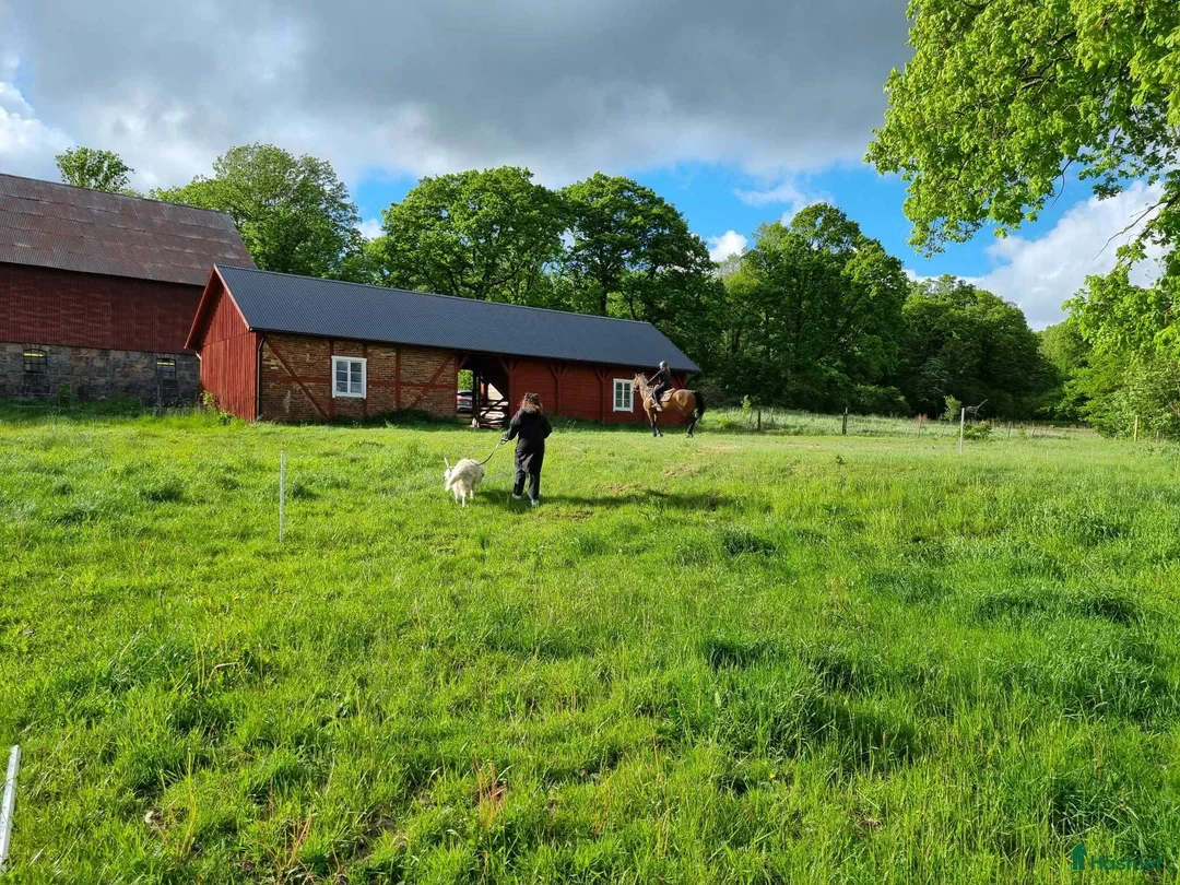  stallplats finnes: ‼️ Ledig stallplats ‼️ i Halmstad - Annons 3