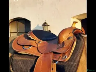 Sadlar hästutrustning Westernsadel i Mönsterås - Annons 9