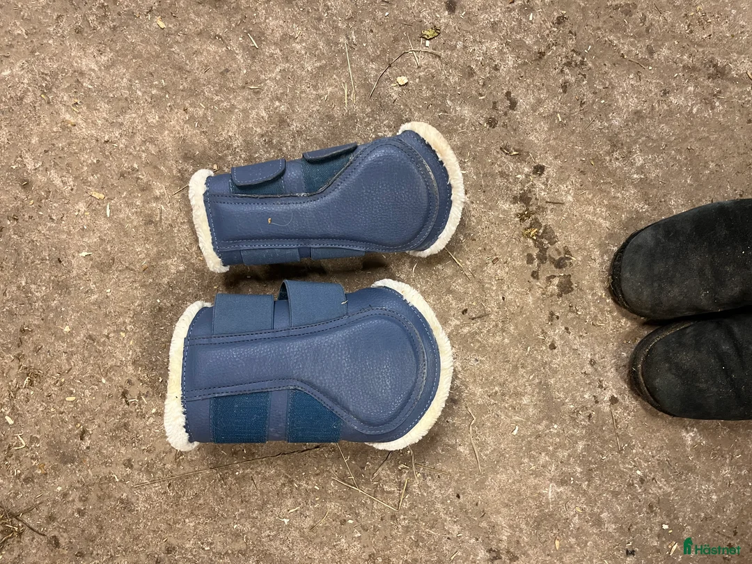 Schabrak & Vojlockar hästutrustning till salu: Ljusblått set från ps  i Landsbro - Annons 4