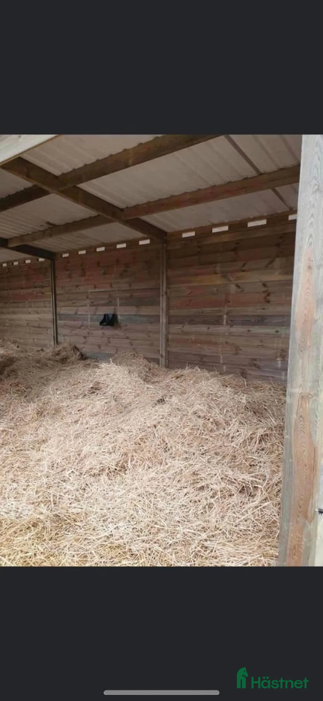  stallplats finnes: Stallplats på lösdrift eller box  i Sköldinge - Annons 5