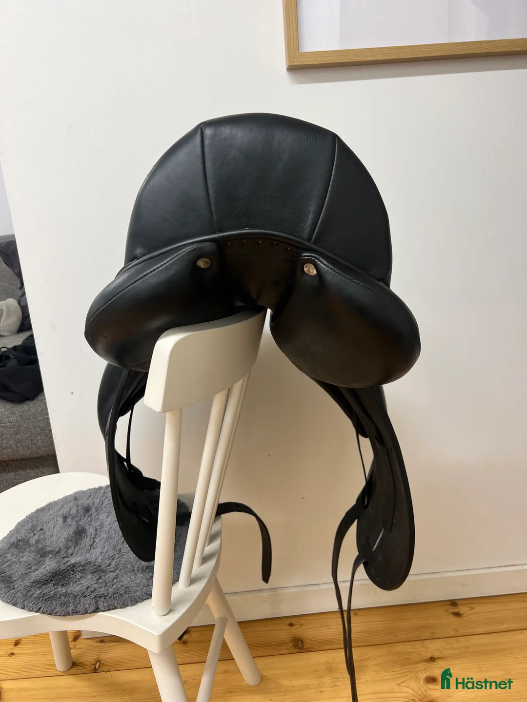 Sadlar hästutrustning till salu: Antarés signature i Enköping - Annons 5