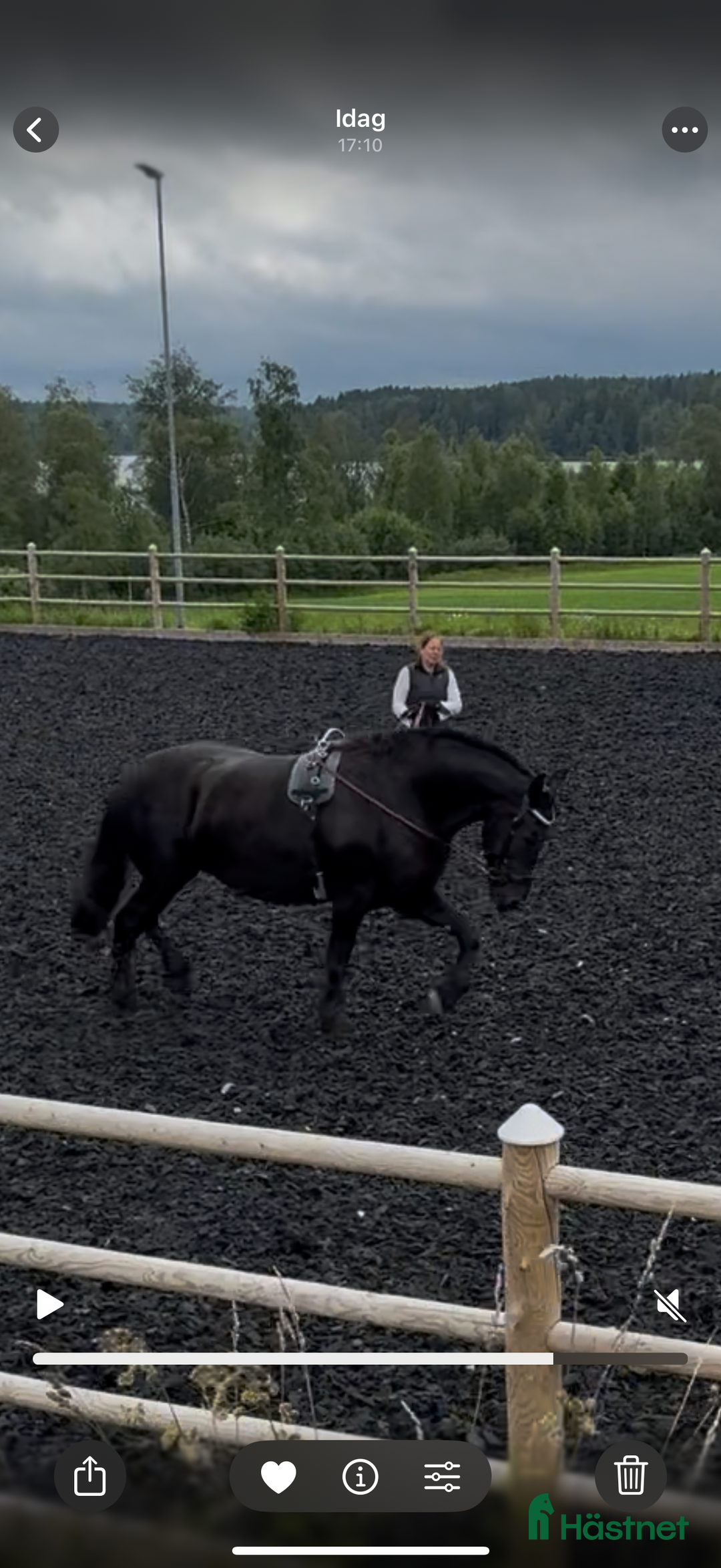  stallplats finnes: Stall platser/konvalecens/rehab/ i Lindesberg - Bild 8