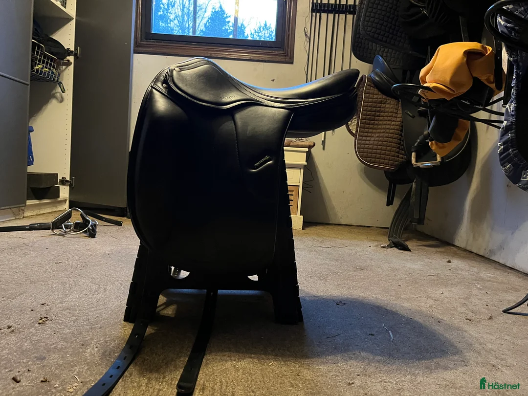 Sadlar hästutrustning till salu: Amerigo Vega CC special - Annons 4