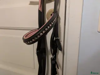 Träns hästutrustning Rosa träns i Ås - Annons 6