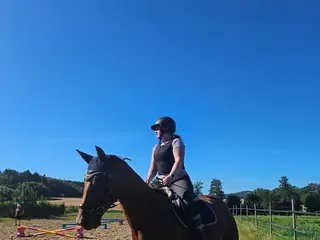 hästar Superhäst söker ryttare - Annons 3