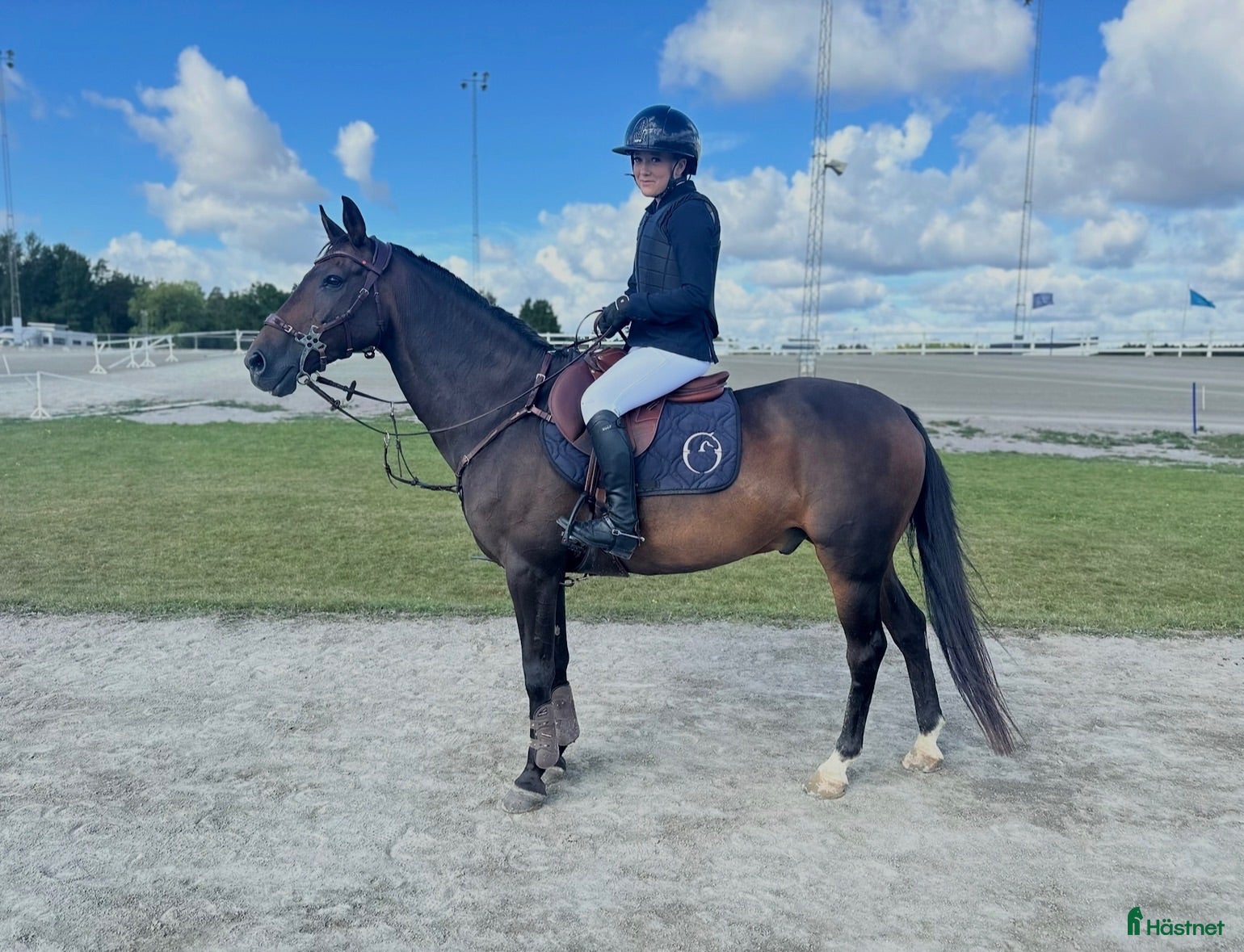 Hoppning hästar till salu: Erfaren D-ponny med vinster upp till 110 cm - Annons 1