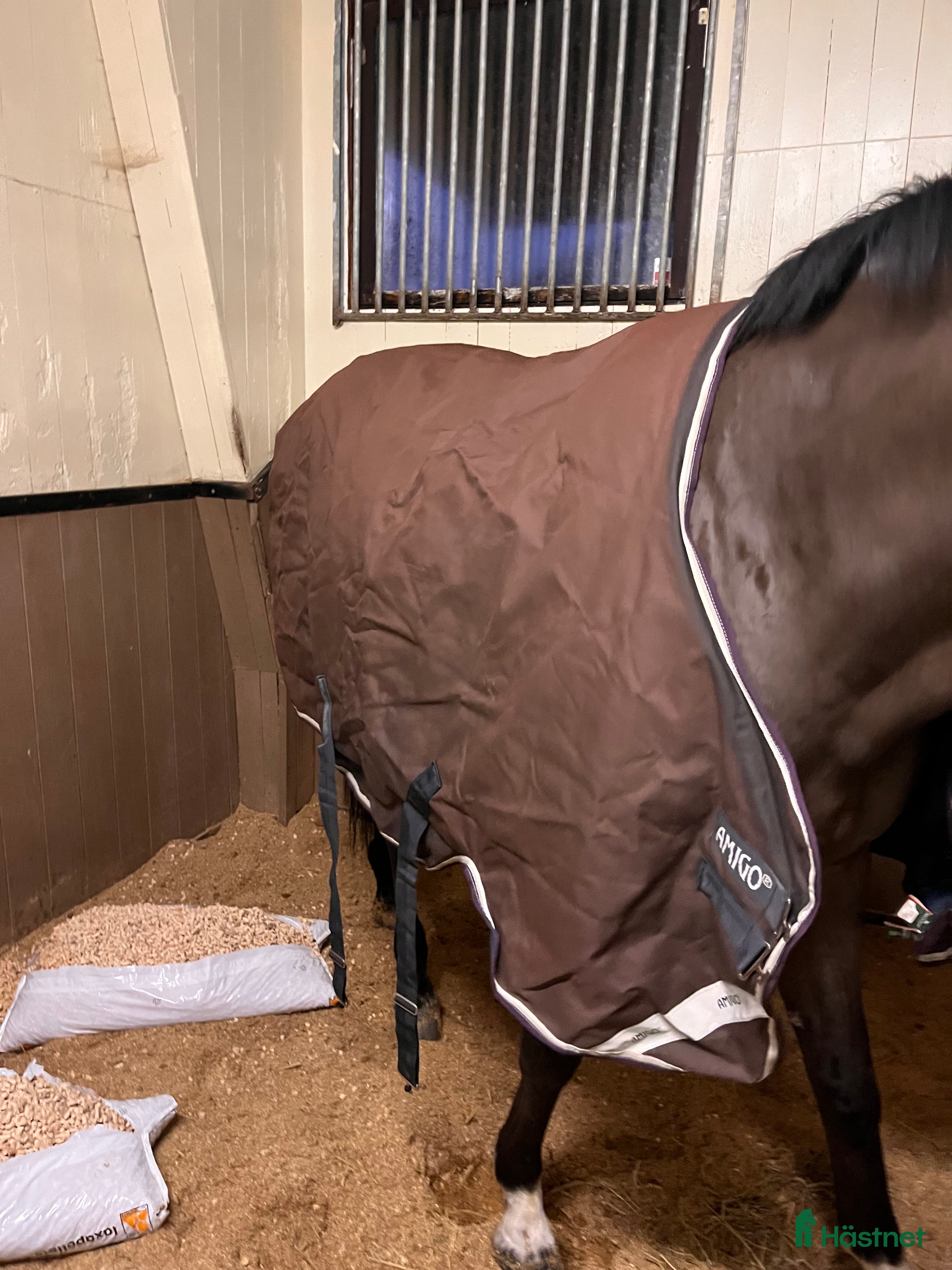 Täcken hästutrustning Horseware utetäcke 300 g i Söderby - Annons 19